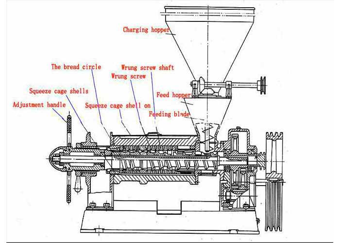 YZYX120A Screw Oil Press Machine