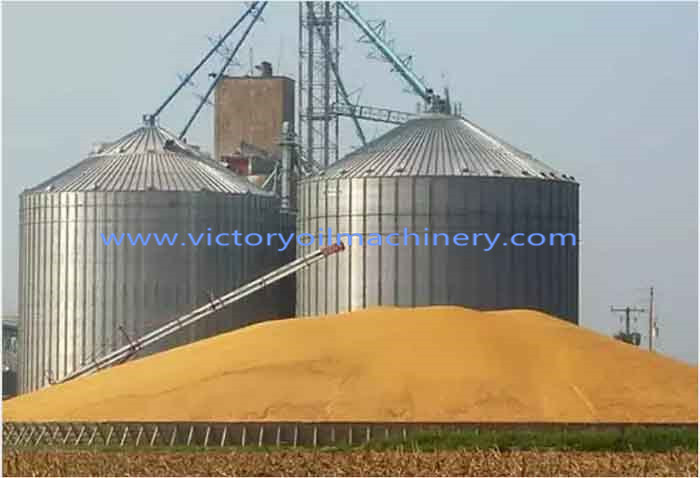 sunflower seed Silo,corn Silo,Grain storage