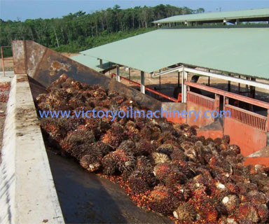 20TPH Palm fruit pressing equipment production line
