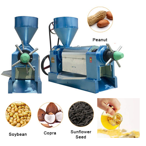 YZYX140A Screw Oil Press Machine