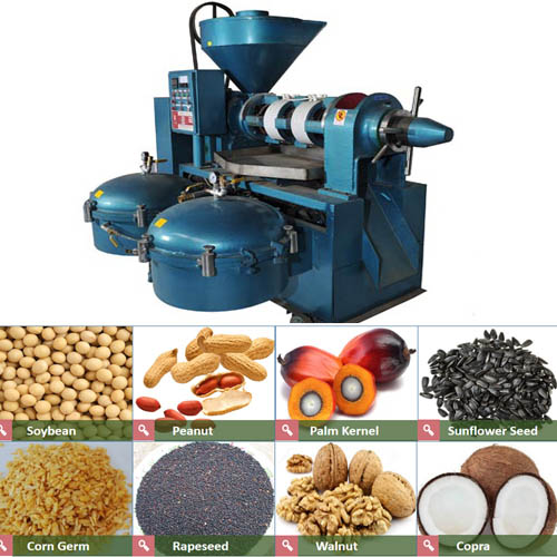 YZYX140B Screw Oil Press Machine