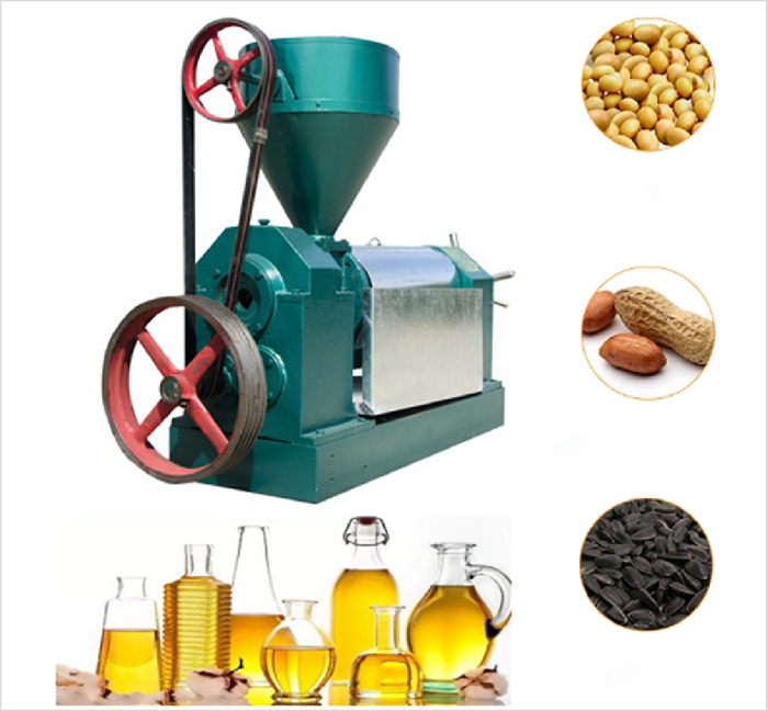 Small-size soybean oil press