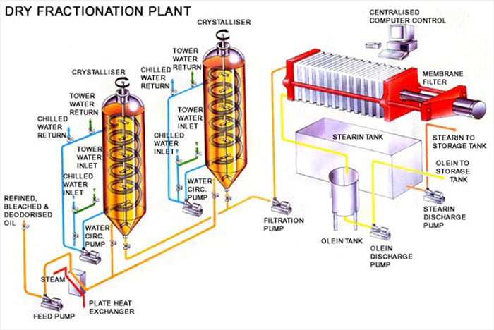 palm oil refining and fractionation