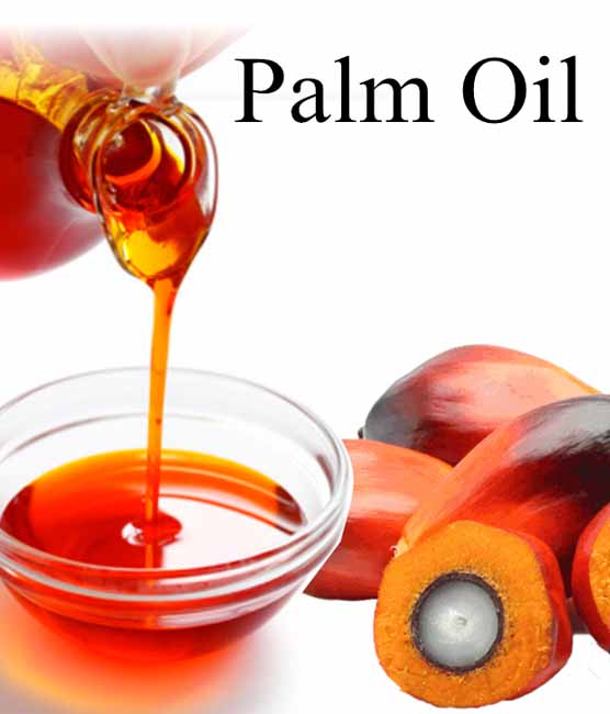 Palm oil Production Machine