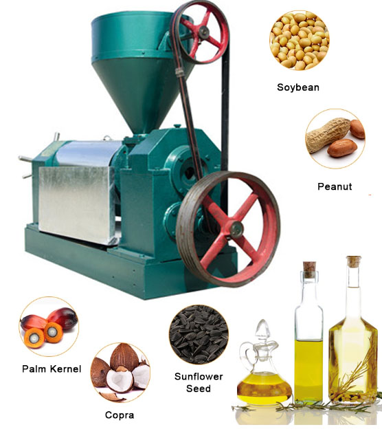 Oil Press Machine